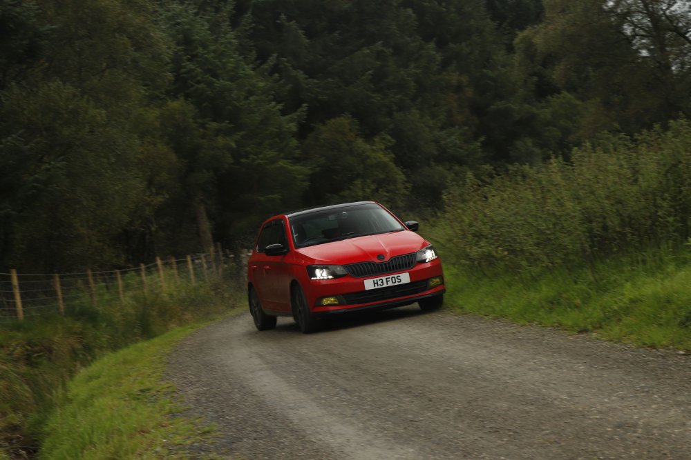 rally fabia edit small.jpg