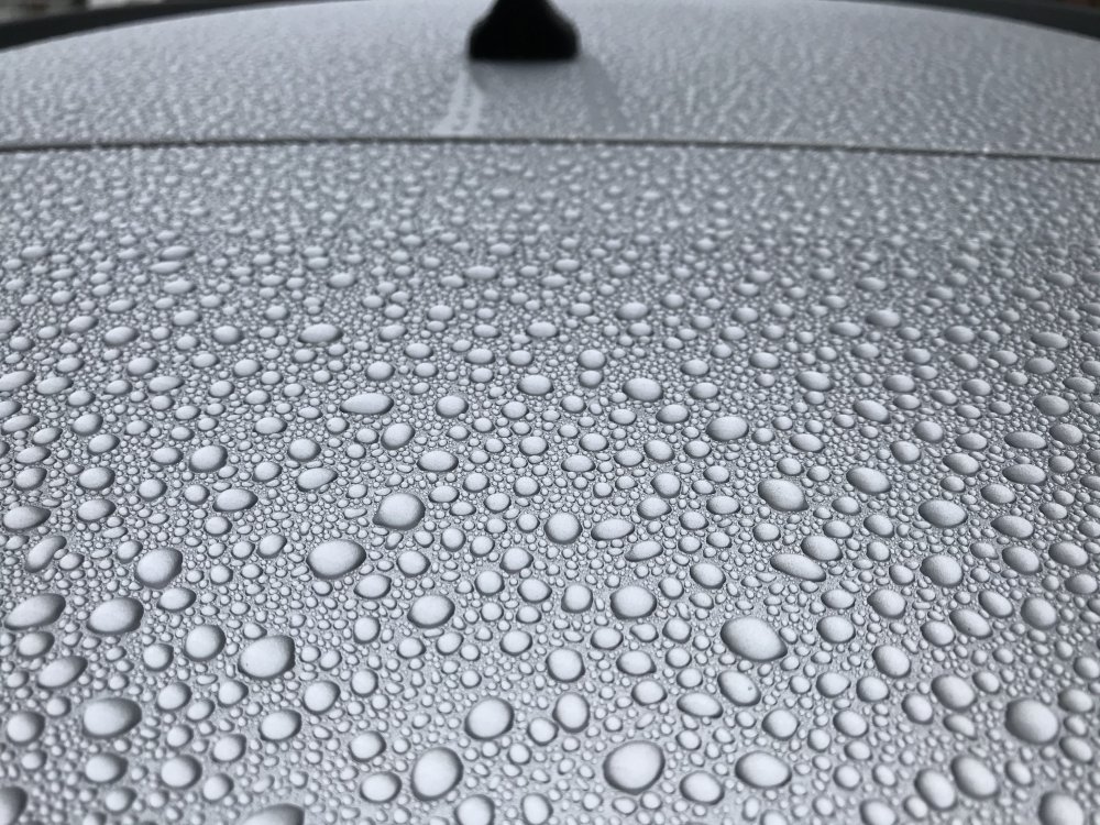 B56779E5-AD16-4FF0-B759-4C3B6B07C638.jpeg