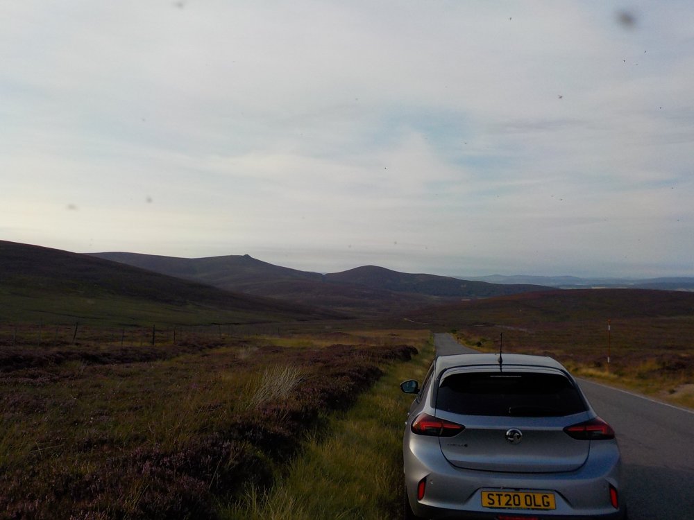 DSCN5356.JPG