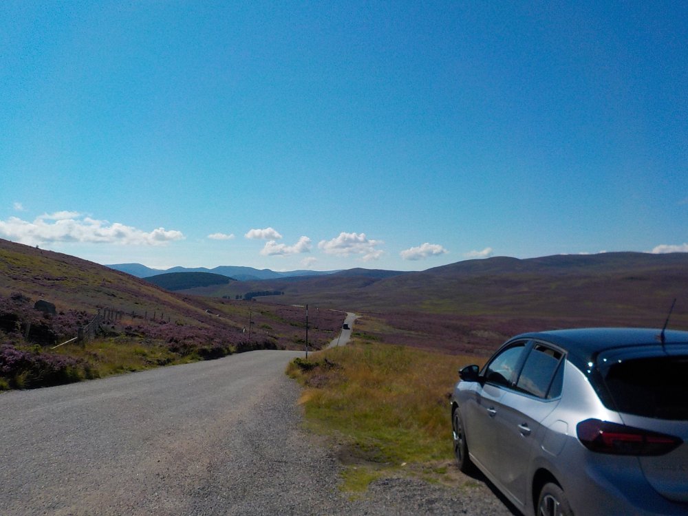 DSCN5387.JPG