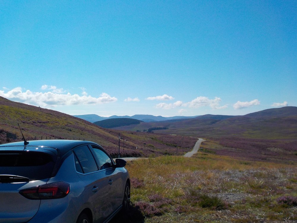 DSCN5397.JPG