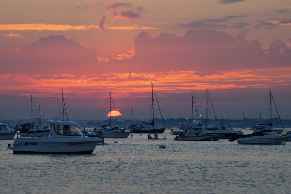 DSC_0796.thumb.jpg.b9e850386081d5f1f68101f31bc6d155.jpg