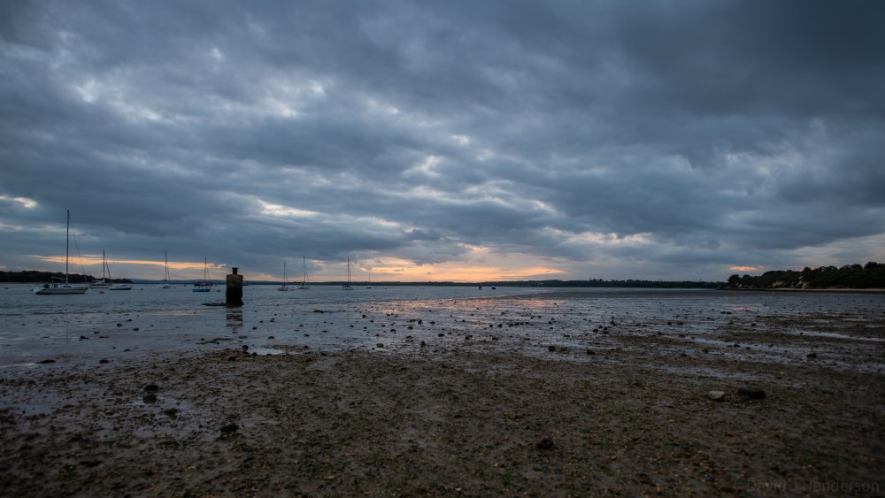 DSC_1033.thumb.jpg.642403a83964502d2be246dbd79f8d04.jpg