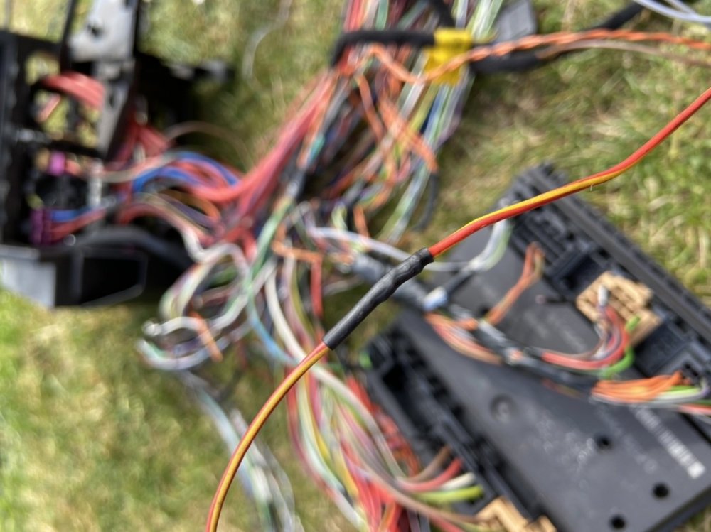 11B1544C-6D26-4F9C-84E6-650890E9E1E1.jpeg