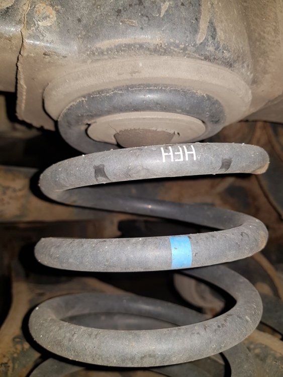 Rear-Coilspring-650.jpg