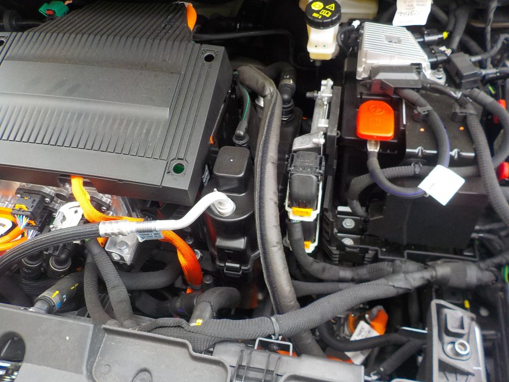 DSCN5420.JPG