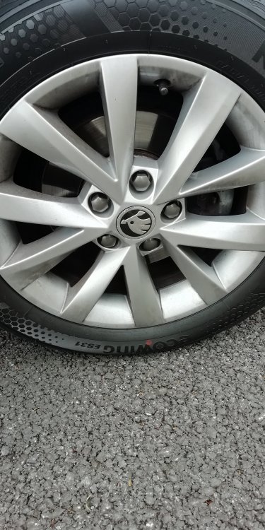 skoda2.jpg