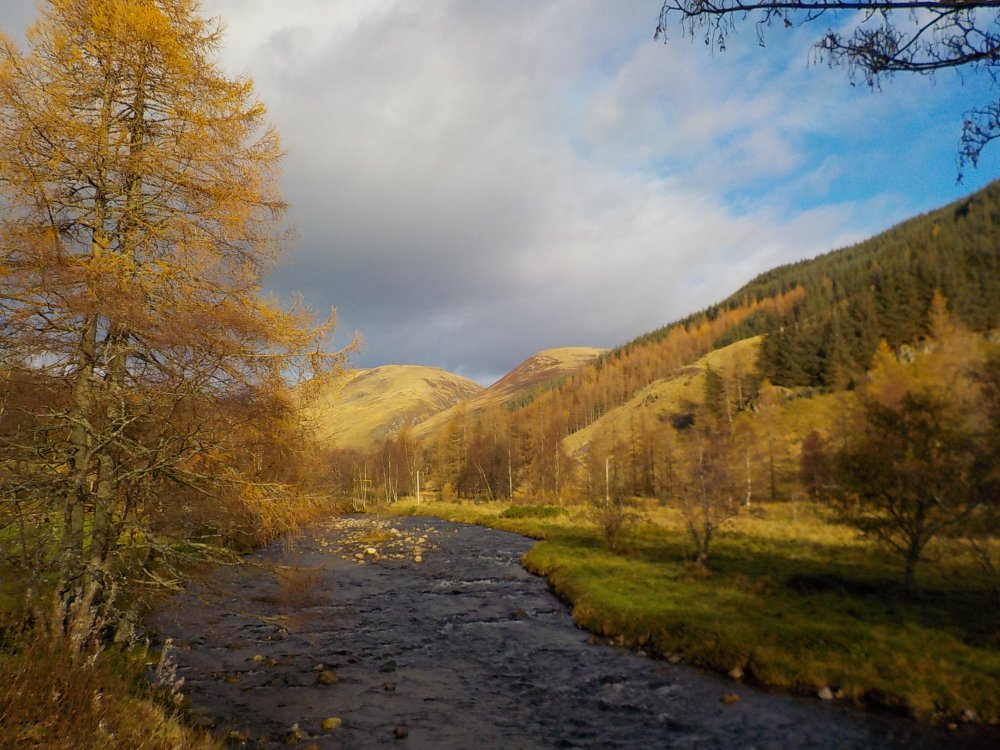 DSCN5584.JPG