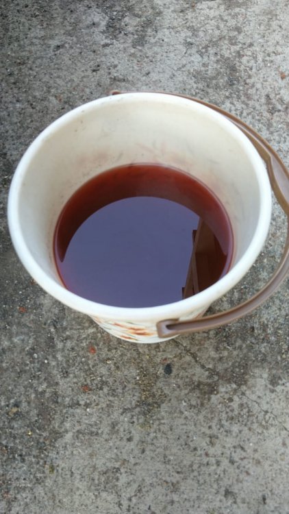Drained Coolant.jpg