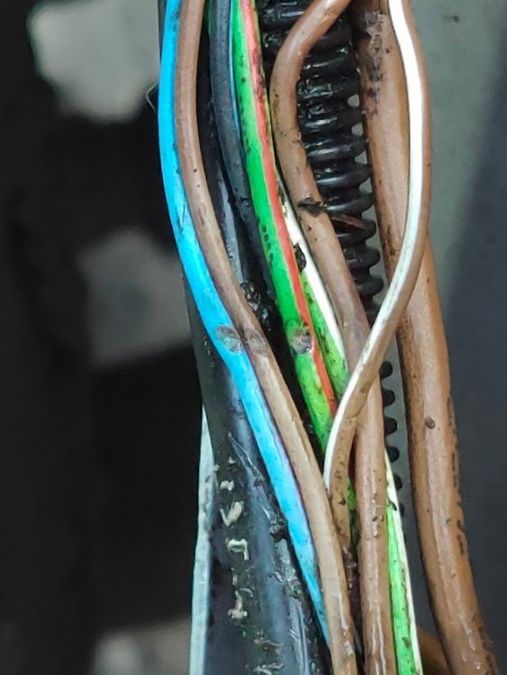 2.thumb.jpg.65bfa4725ba97bd9649b0d61f59cb54f.jpg