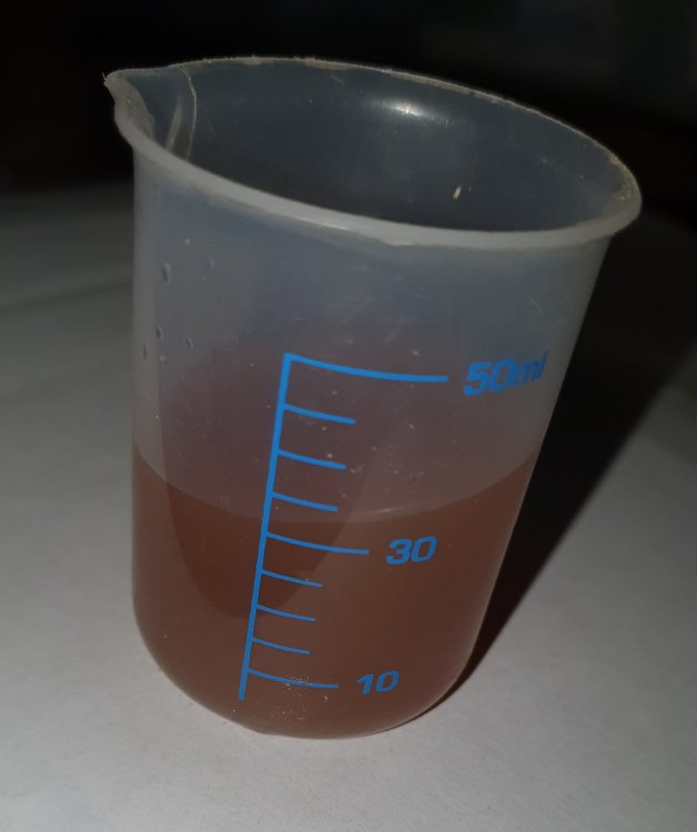 20201201_200213.jpg
