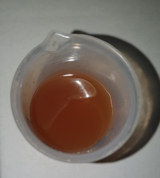 20201201_200230.jpg