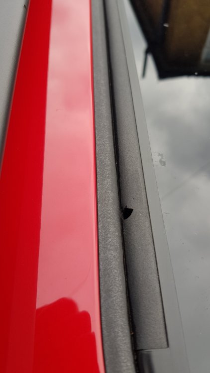 20201212_123342.jpg