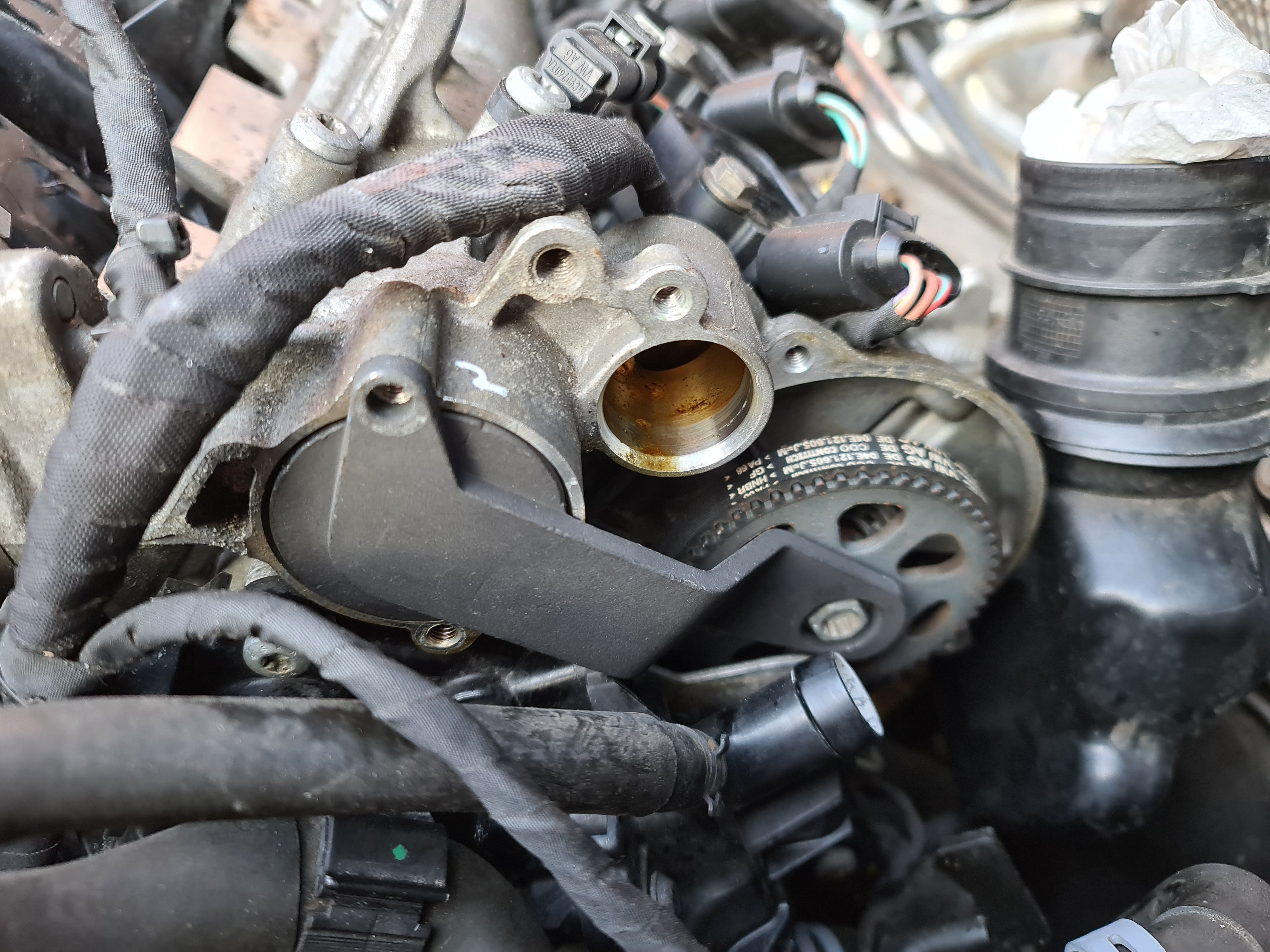 Skoda shop timing belt