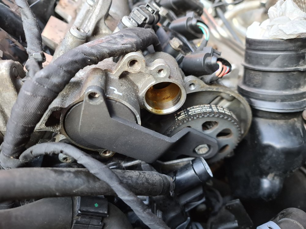 Timing belt help Skoda Fabia Mk III (20142021) BRISKODA