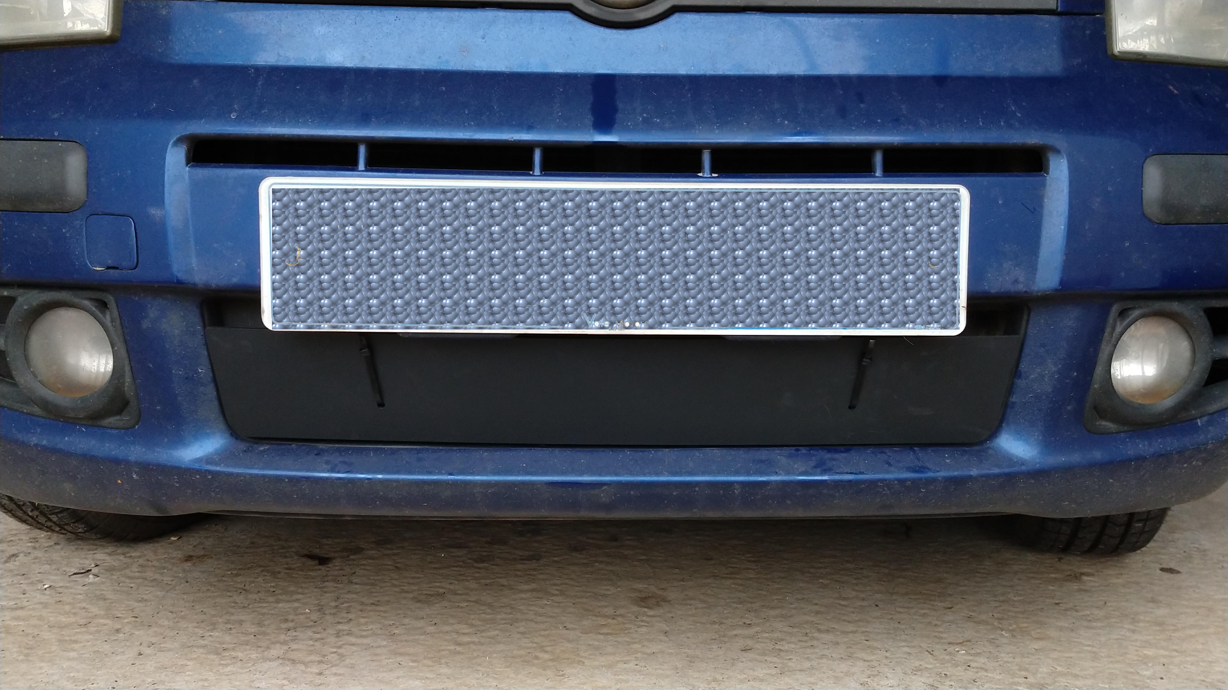 Hot car ! Front grill cover. Photo's Skoda Fabia Mk III (20142021