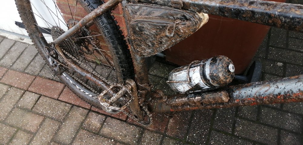 IMG-20210112-WA0002.jpeg