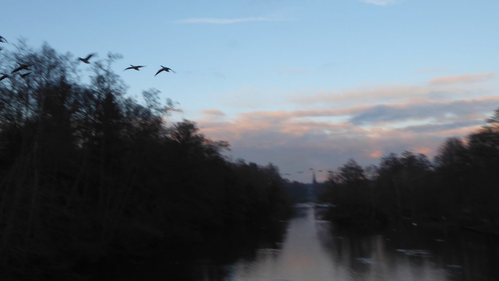 IMG_20210107_195121.jpg