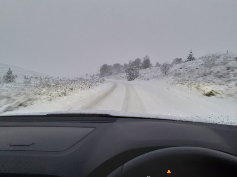 snow1.jpg