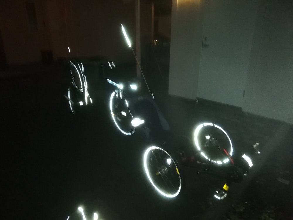 165014519_2019-11-2117_30_36.thumb.jpg.065c6bd0473e7b72e4271f219254e848.jpg