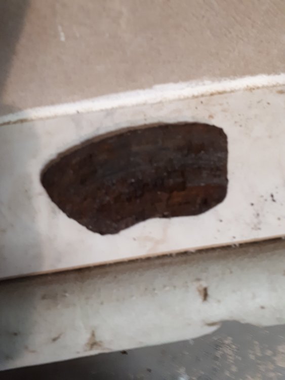 20201230_140226.thumb.jpg.da26a9b6f2993e41aebe6ef5ea810548.jpg