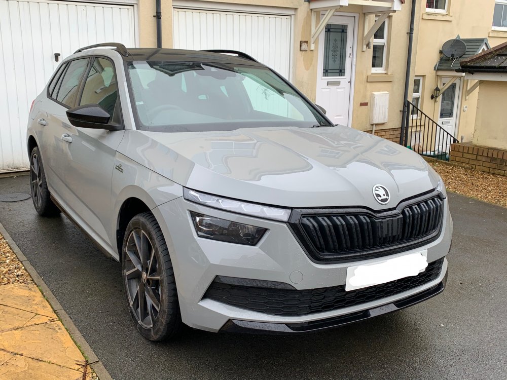 Skoda surround что это
