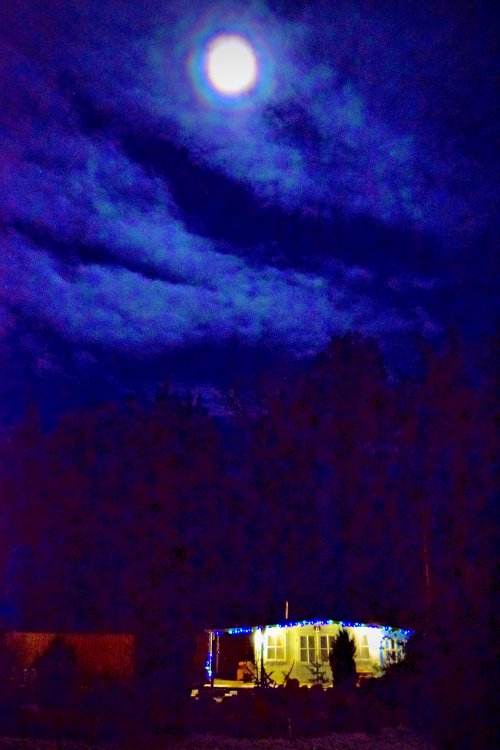 DSC_0166.jpeg