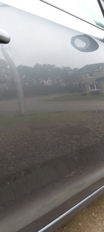 20210307_124848.jpg