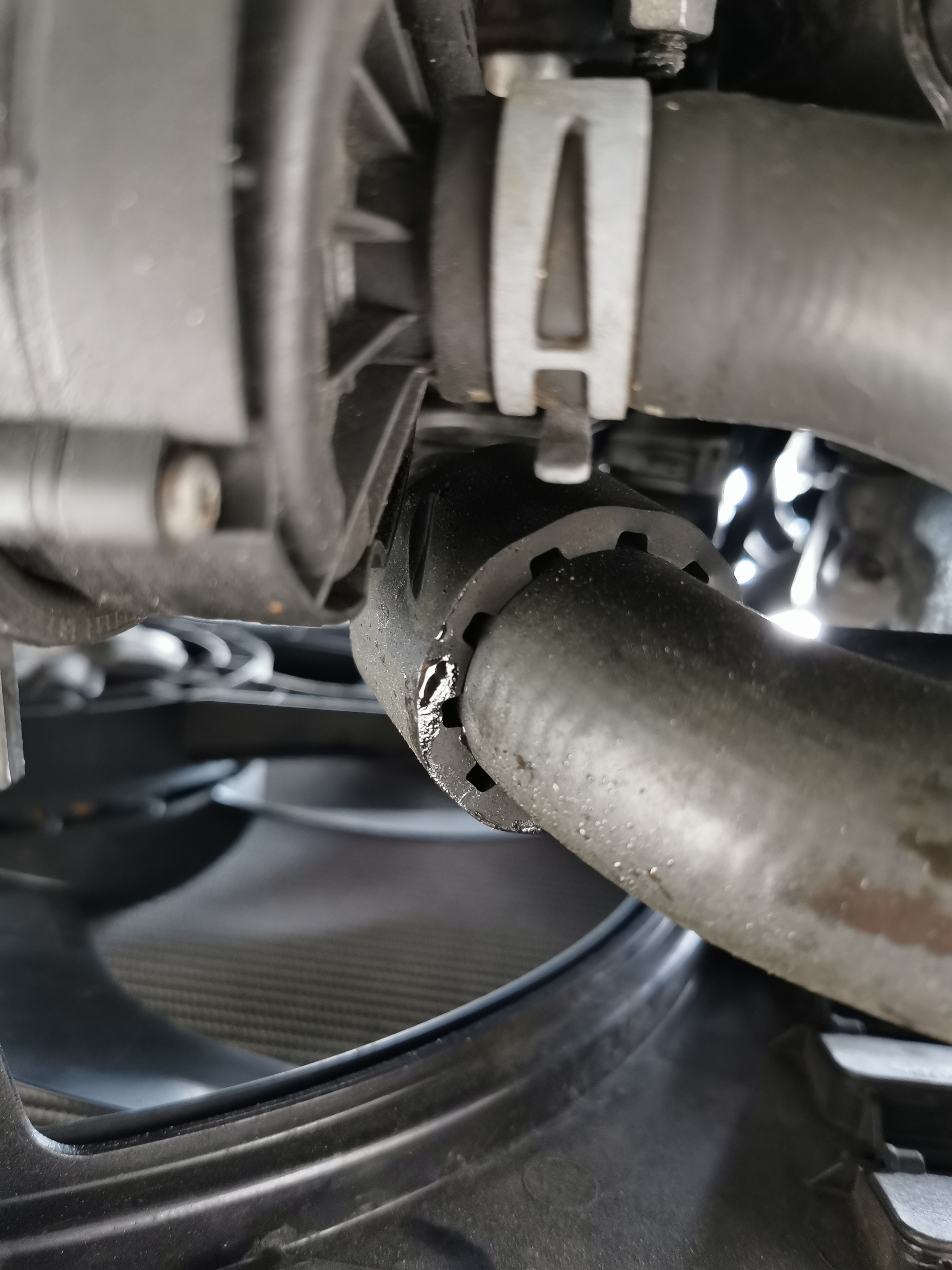 Radiator hose leak Skoda Octavia Mk III (2013 2020) BRISKODA