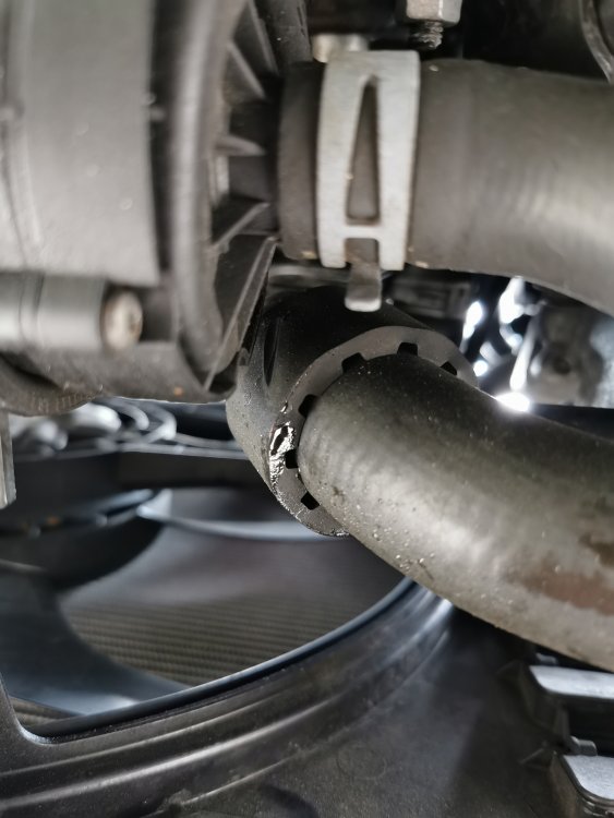 Radiator hose leak Skoda Octavia Mk III (2013 2020) BRISKODA