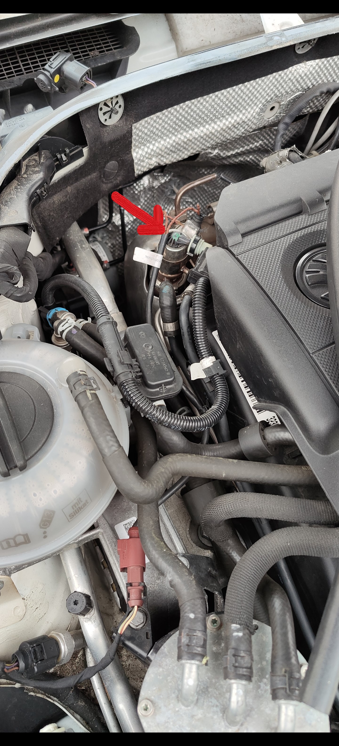 Animal chewed cable of 2.0 TDI 190, please help identify part?