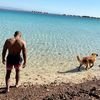 Mazen_Elsayed