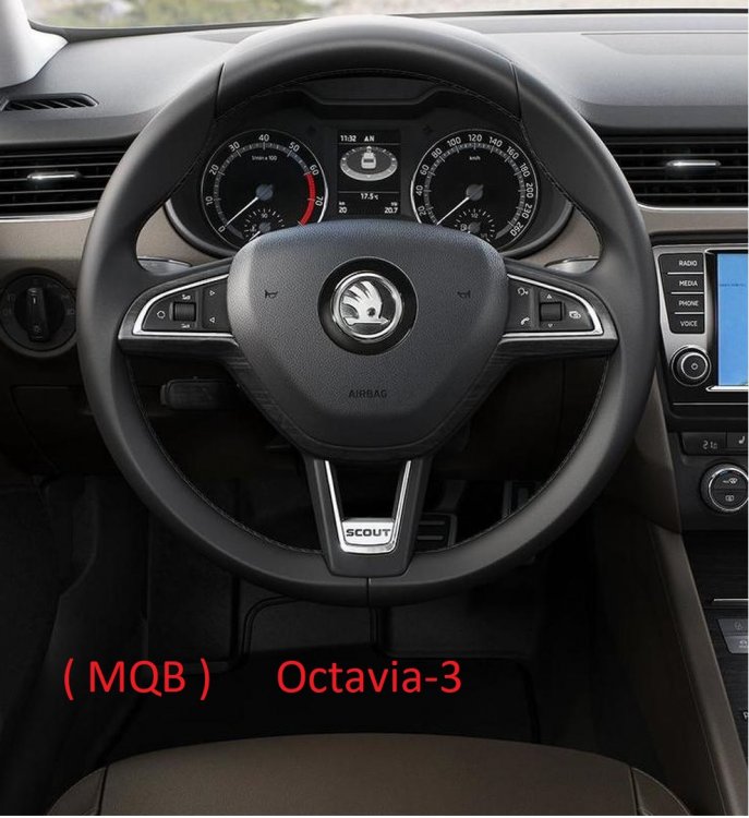 Ratt Octavia 3.jpg