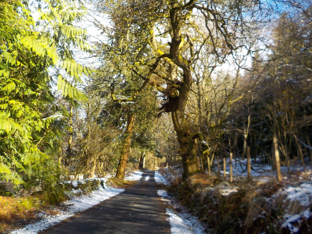 DSCN5899.JPG