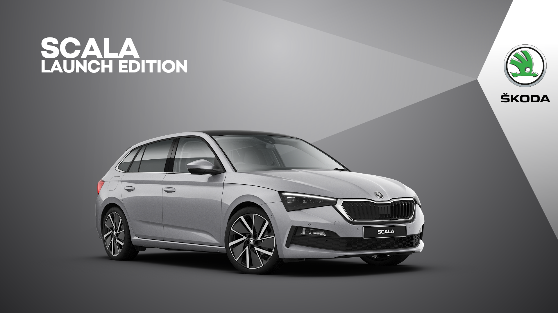 Цвет 8e8e skoda