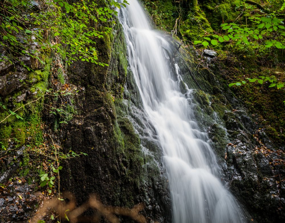 _MG_9194.jpg
