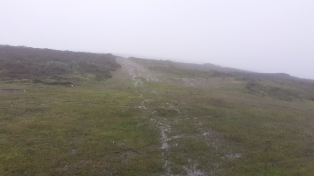 20210528_071043.thumb.jpg.f4829fef16807735c29c02717113bc48.jpg