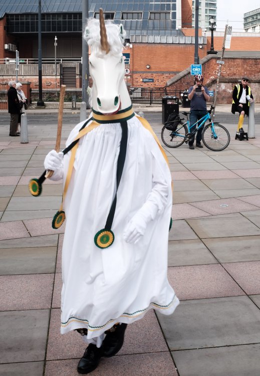 DSCF3916.jpg