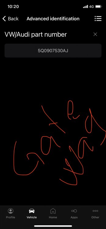 IMG_4367.thumb.JPEG.8cb6863fcaa7da95fbf3131ab02f0a5b.JPEG