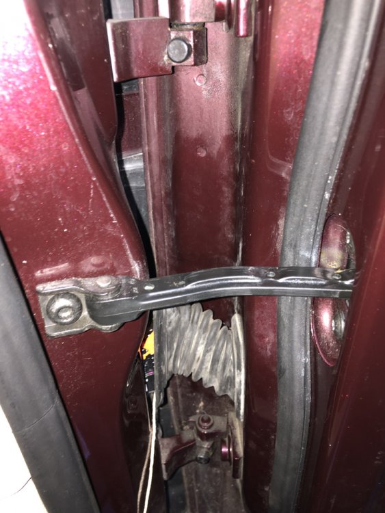 Door Check Strap.jpg