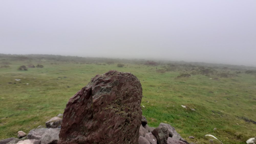 20210609_070628.thumb.jpg.a777d32a19f4969f6f8ec1024917e165.jpg