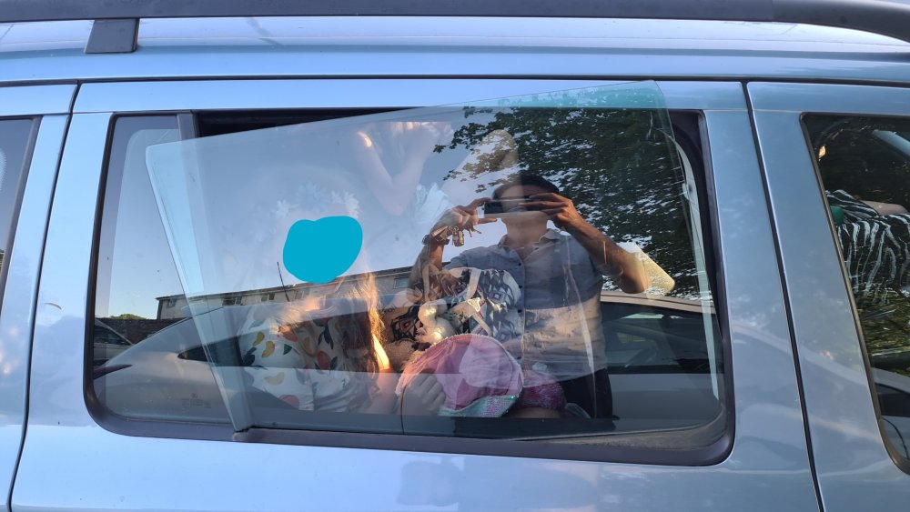 octavia window.jpg