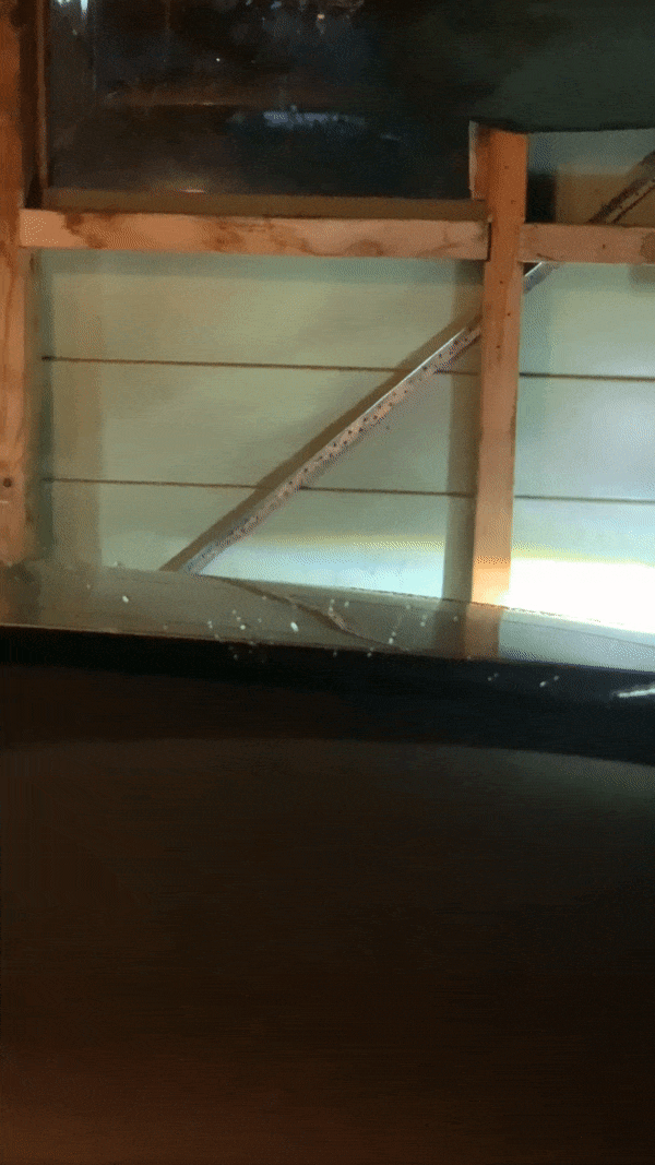 76B48224-F35B-4539-BE3B-42BF9C792A9E.thumb.gif.f94d6909463211331099489b8903cca0.gif