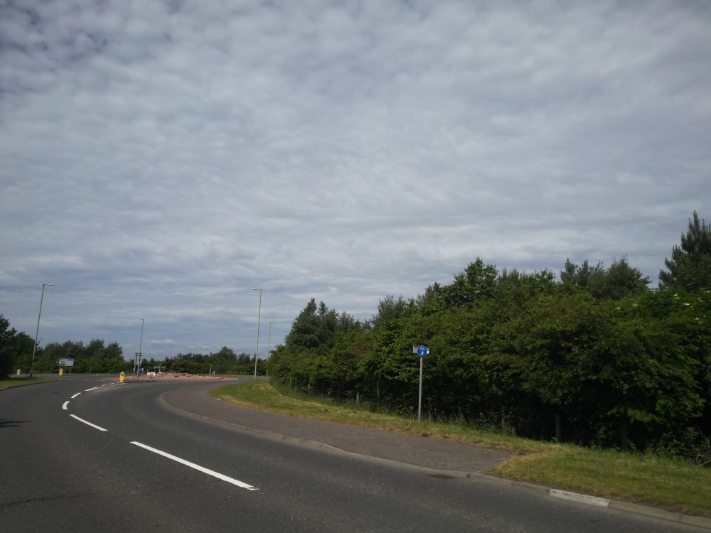 DSCN0006.JPG