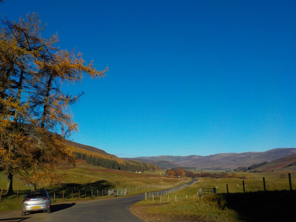 DSCN5554.JPG