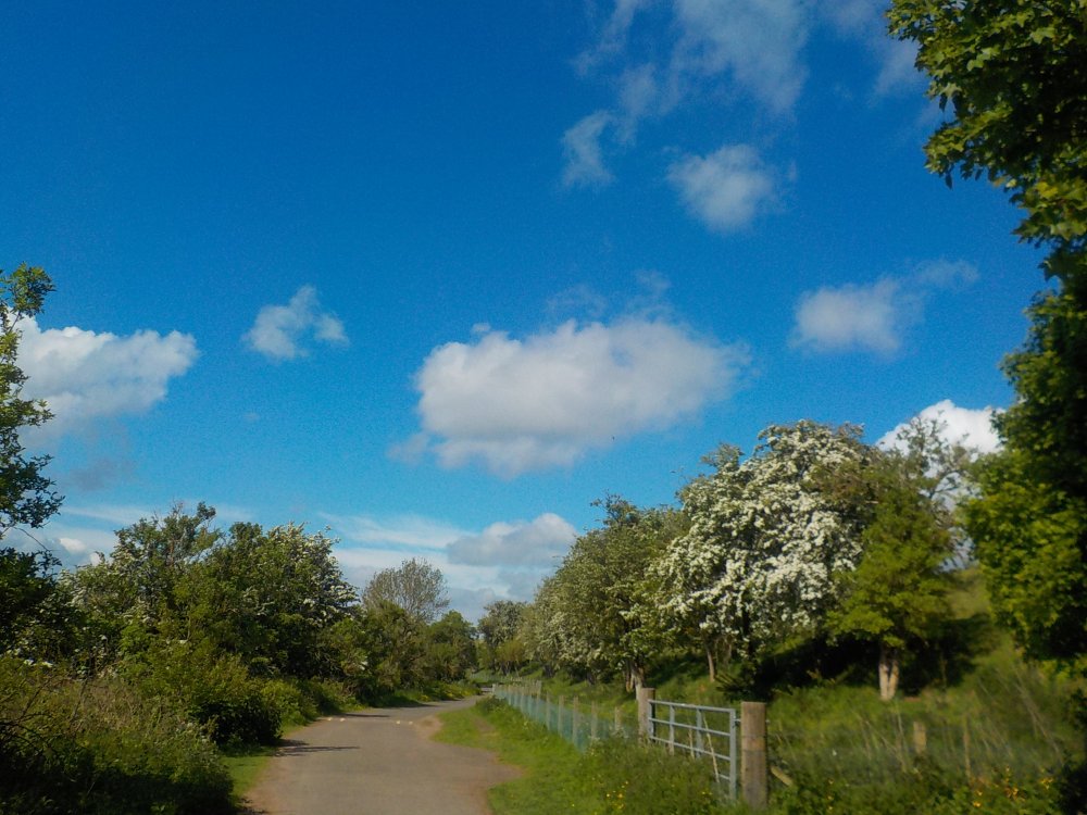 DSCN6051.JPG