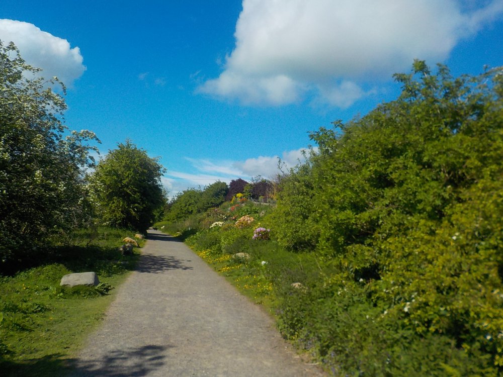 DSCN6053.JPG