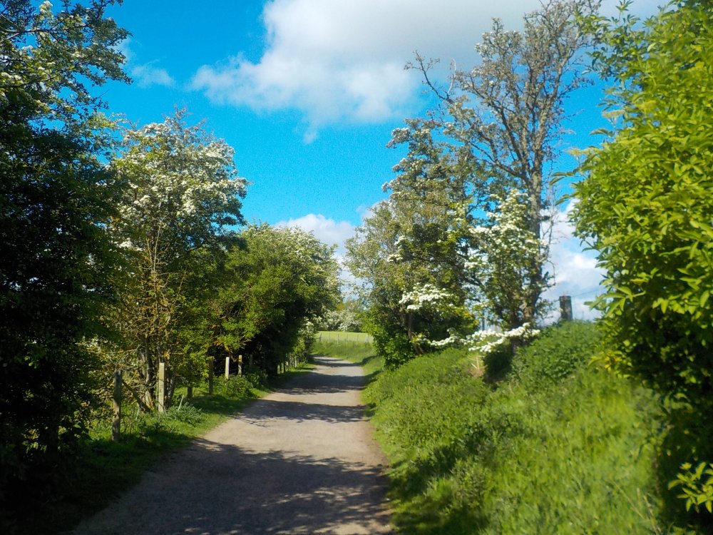DSCN6059.JPG