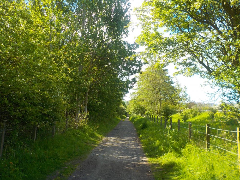 DSCN6063.JPG
