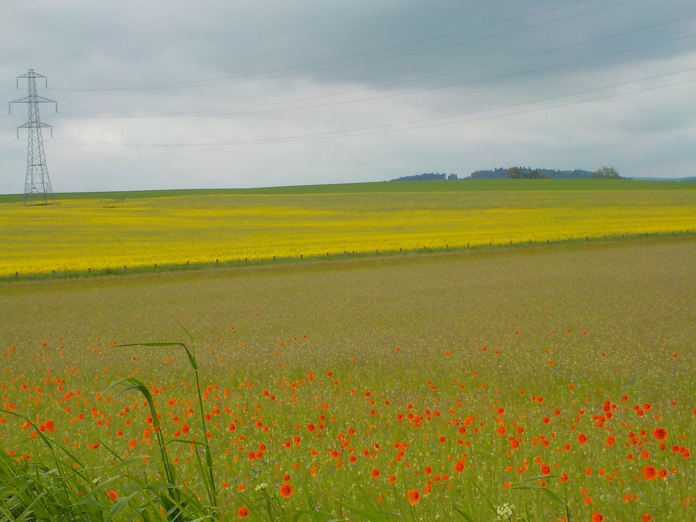 DSCN6134.JPG